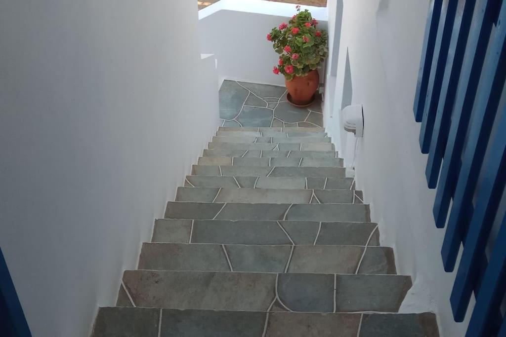 הוילה קמרס Aegean Dream House מראה חיצוני תמונה